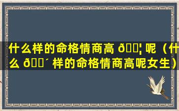 什么样的命格情商高 🐦 呢（什么 🐴 样的命格情商高呢女生）